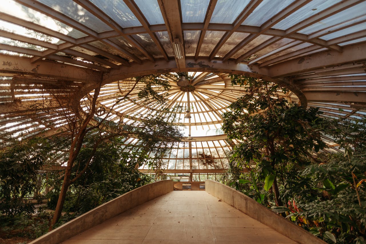 Explore the serene beauty of a sunlit greenhouse with lush plants along a wide walkway.